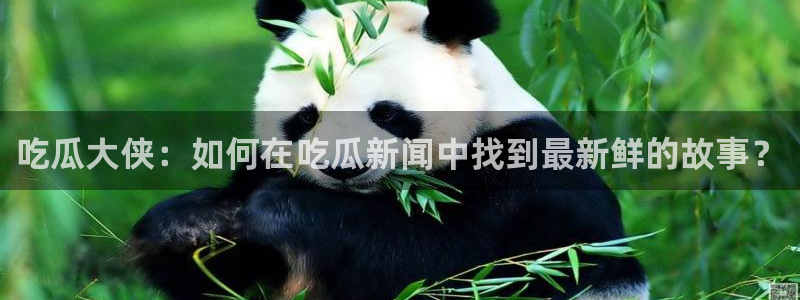 网红黑料事件始末