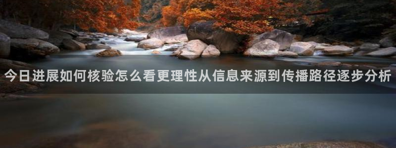 网络黑料事件始末