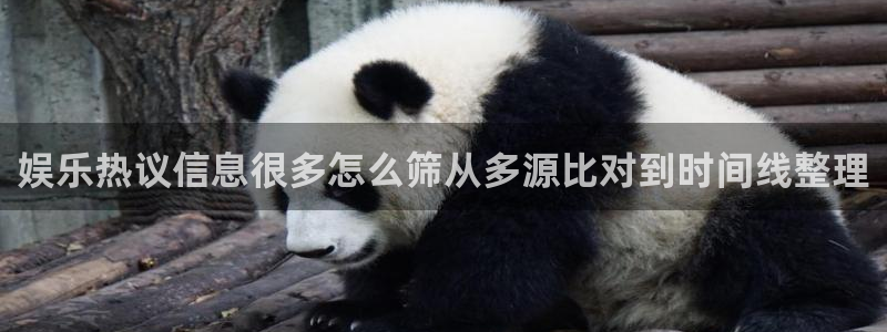 网络黑料后续进展