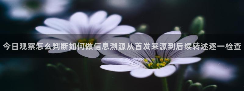黑料爆料证据梳理