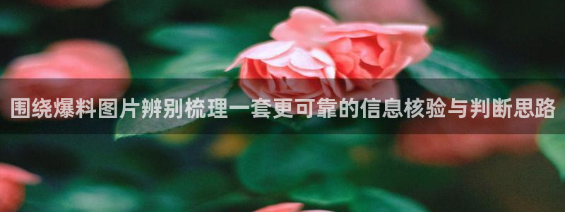 职场黑料最新消息